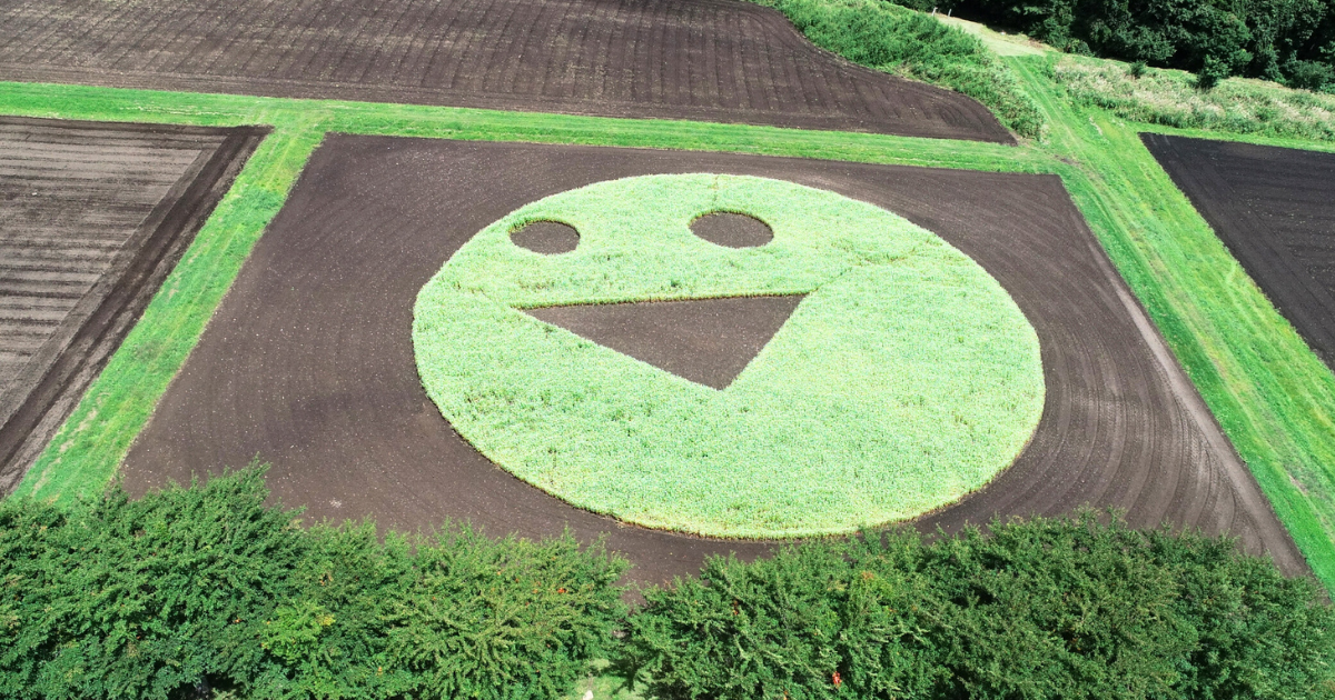 ネクストとうほくアクション